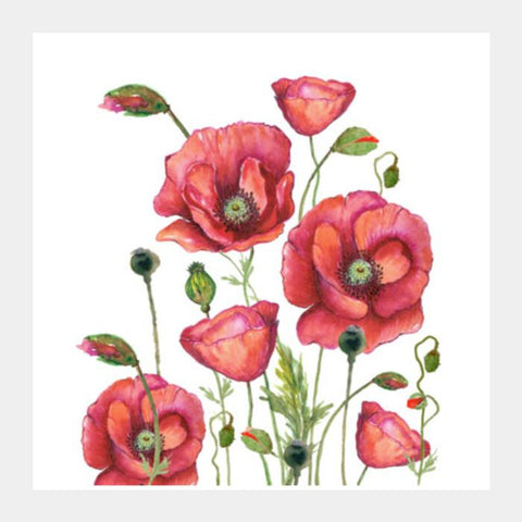 Poppy Flowers Watercolor Painting Elegant Floral Art Design Square Art ...