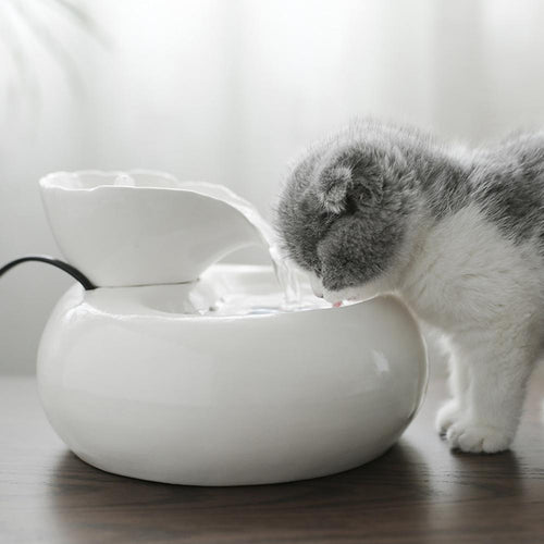 Fontaine Filtrante Silencieuse Pour Chat Offres Promos