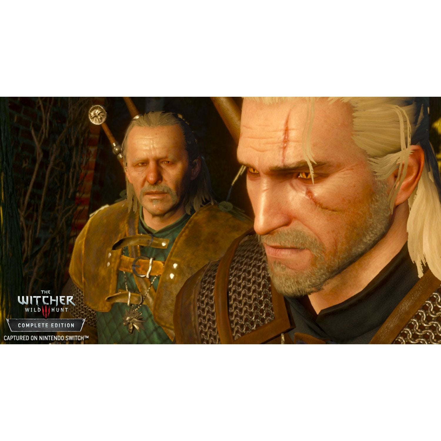 the witcher wild hunt complete edition switch