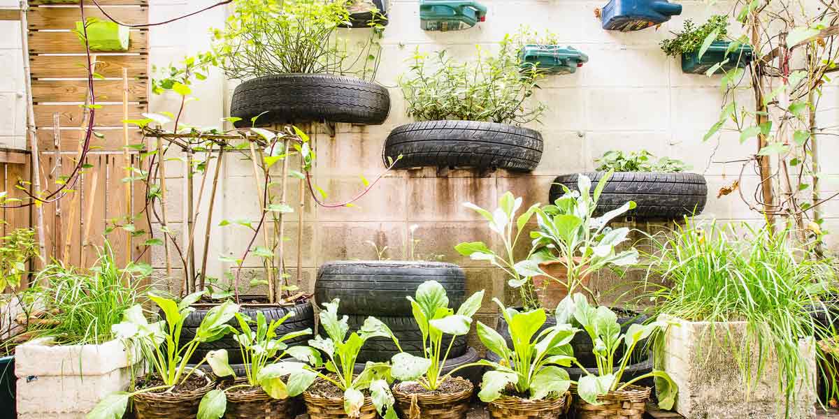 Acolchado del suelo: todo lo que tienes que saber - Urban and Garden