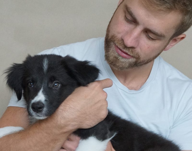 Young man holding Border Collie puppy, smiling. 