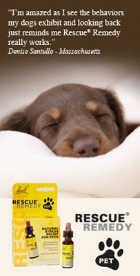 bach rescue remedy pet