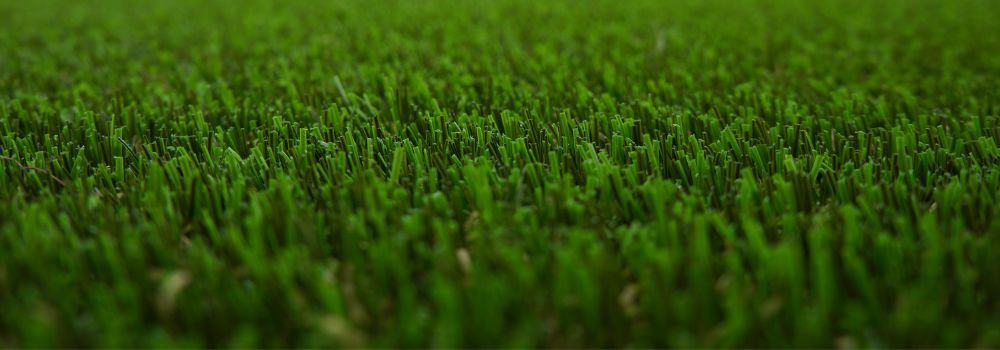 artificial grass lawn close up