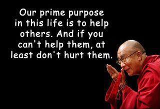 Our prime purpose in this life is to help others.  And if you can't help them, at least don't hurt them