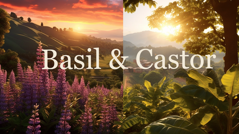Basil and Castor