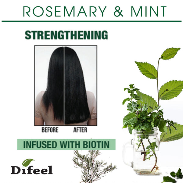 Hair Growth Essential Oil Rosemary Mint Hair Strengthening Oil Nourishing  Treatment for Split Ends and Dry