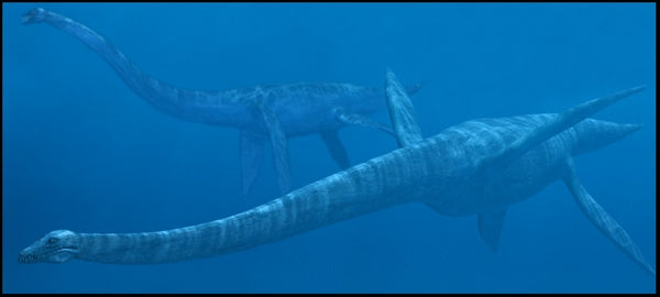 Art_Plesiosaurs_grande.jpg?542