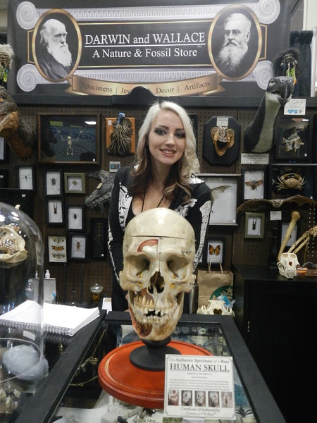 Customer with skull