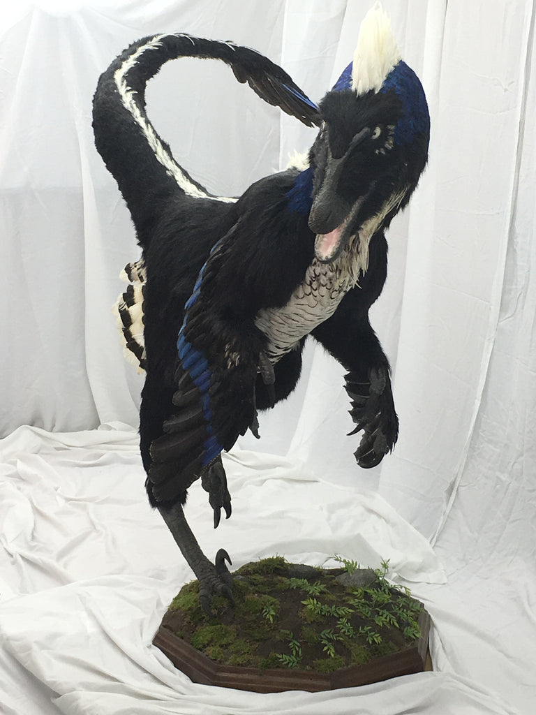 feathered raptor plush