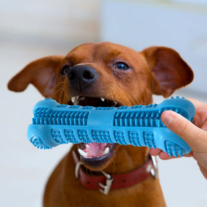 dog chew toy toothbrush