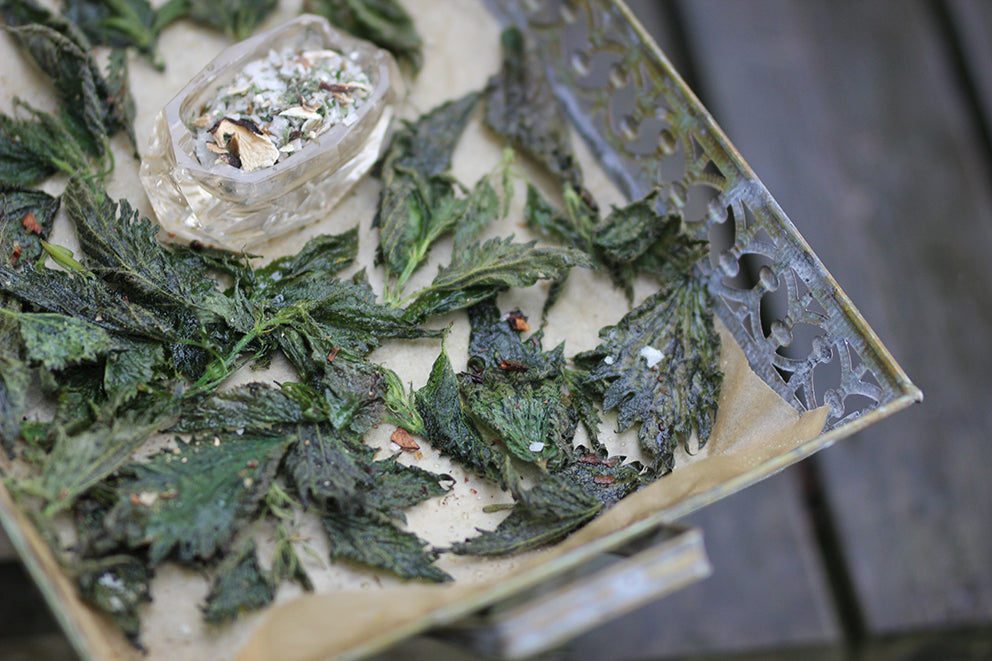 METTÄ nettle chips and porcini salt