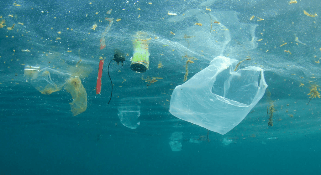 plastic bag floating in ocean pollution