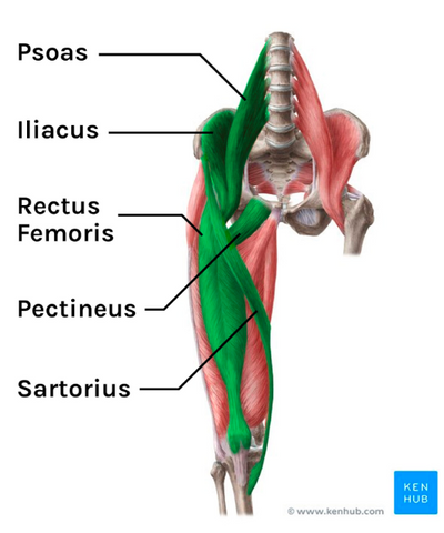 Addressing General Hip Flexor Pain in Everyday Life – Functional