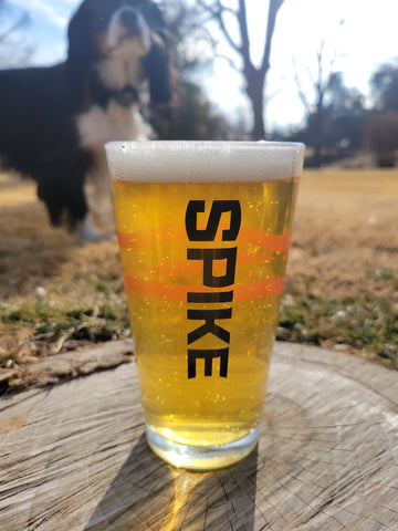 India Pale Ale Recipe