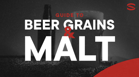 guide to grain and malt for brewing 
