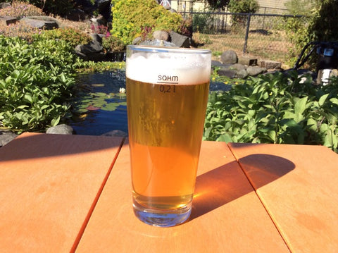A pint glass of Cool Breeze Kölsch, a refreshing beer recipe by West Wind Brewery, resting on a table overlooking a serene pond.