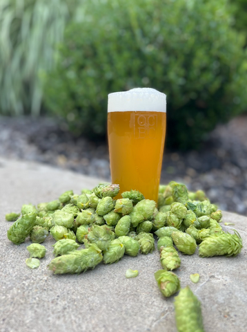 Whole Hops 