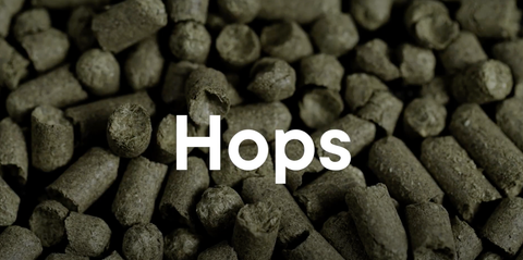 Homebrewing hop pellets
