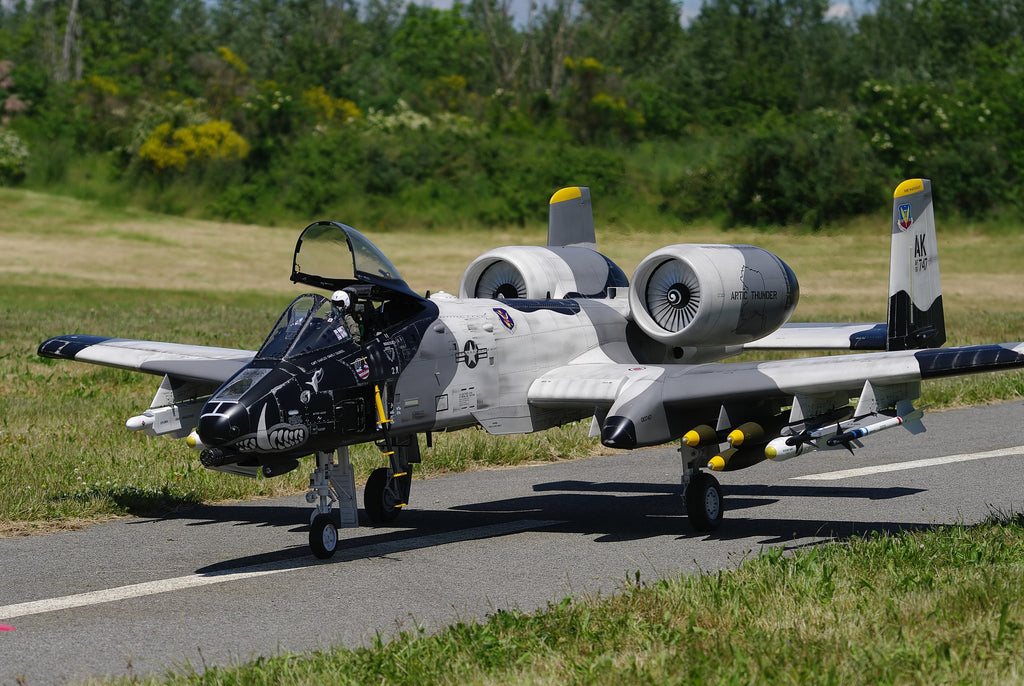 warthog model plane