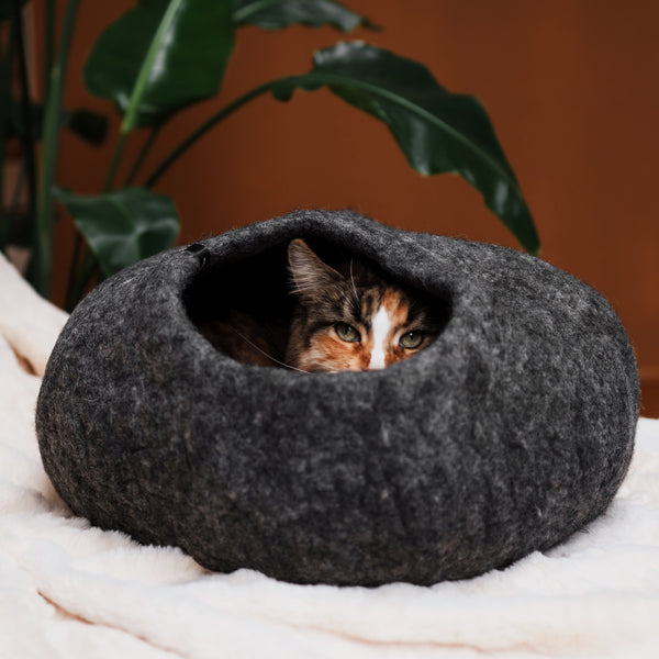 katzen Höhle kuschlig