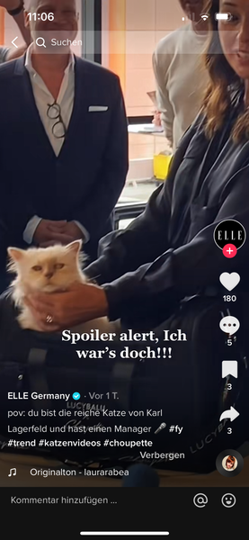 Choupette in Paris Tiktok