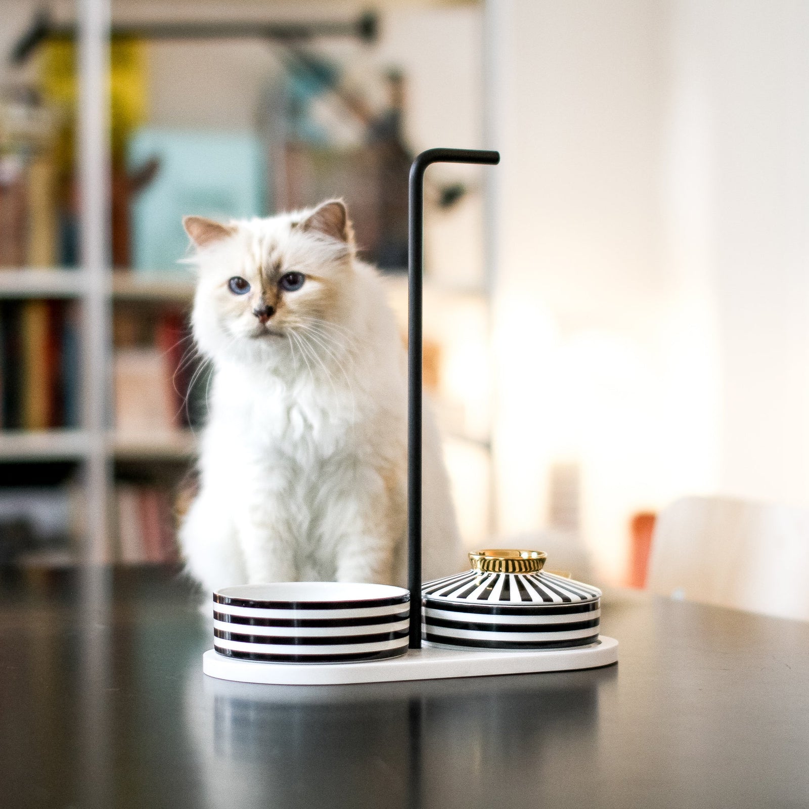 Karl Lagerfeld's Cat Choupette Approves LucyBalu's New Cat Hammock – Robb  Report
