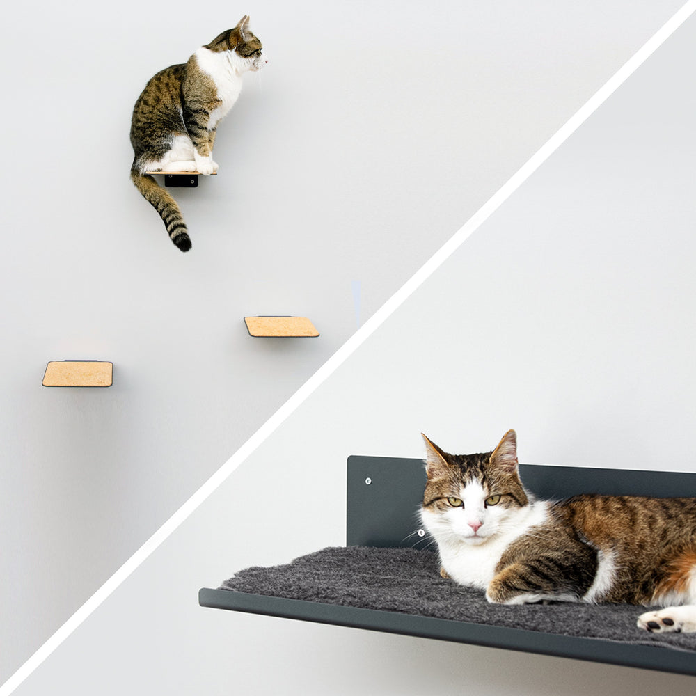 Kletterwand für Katzen: Katzenmöbel für die Wand - Straight Katzen KletterwanD Set Lucybalu Anthrazit 855193 1000x