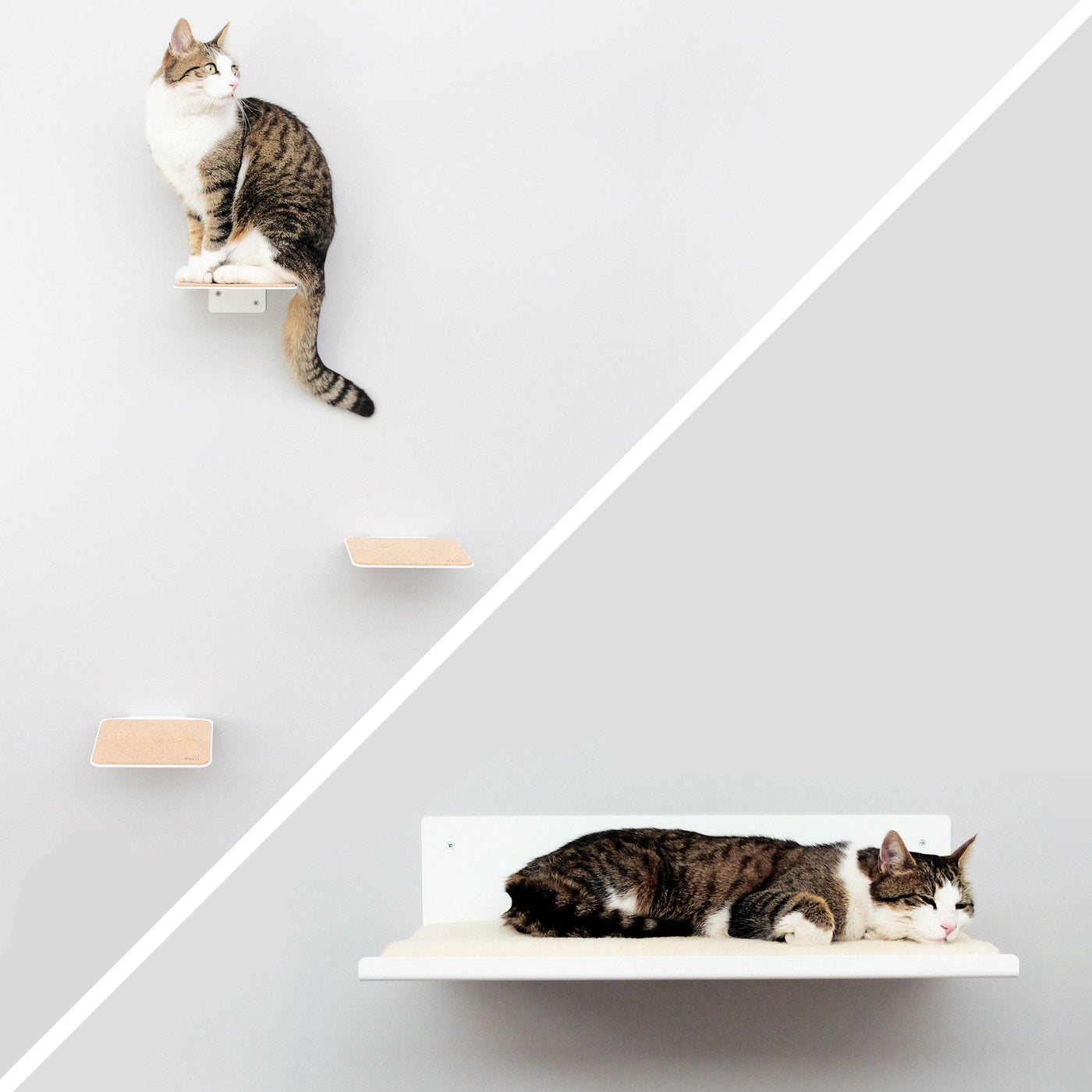 Kletterwand für Katzen: Katzenmöbel für die Wand - Straight Katzen KletterwanD Set Lucybalu Weiss 451390 1400x