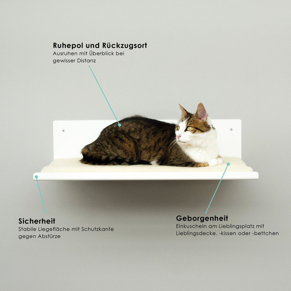 Kletterwand für Katzen: Katzenmöbel für die Wand - Straight Katzen WanDliege Lucybalu 398087 1000x