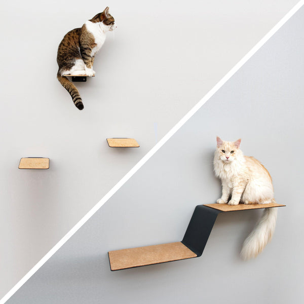 Kletterwand für Katzen: Katzenmöbel für die Wand - Wave Katzen KletterwanD Set Lucybalu Anthrazit 991645 600x