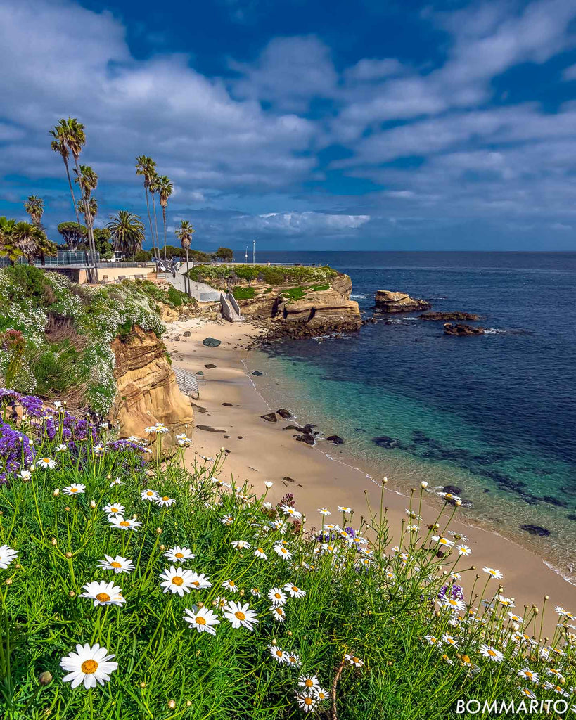 La Jolla Cove