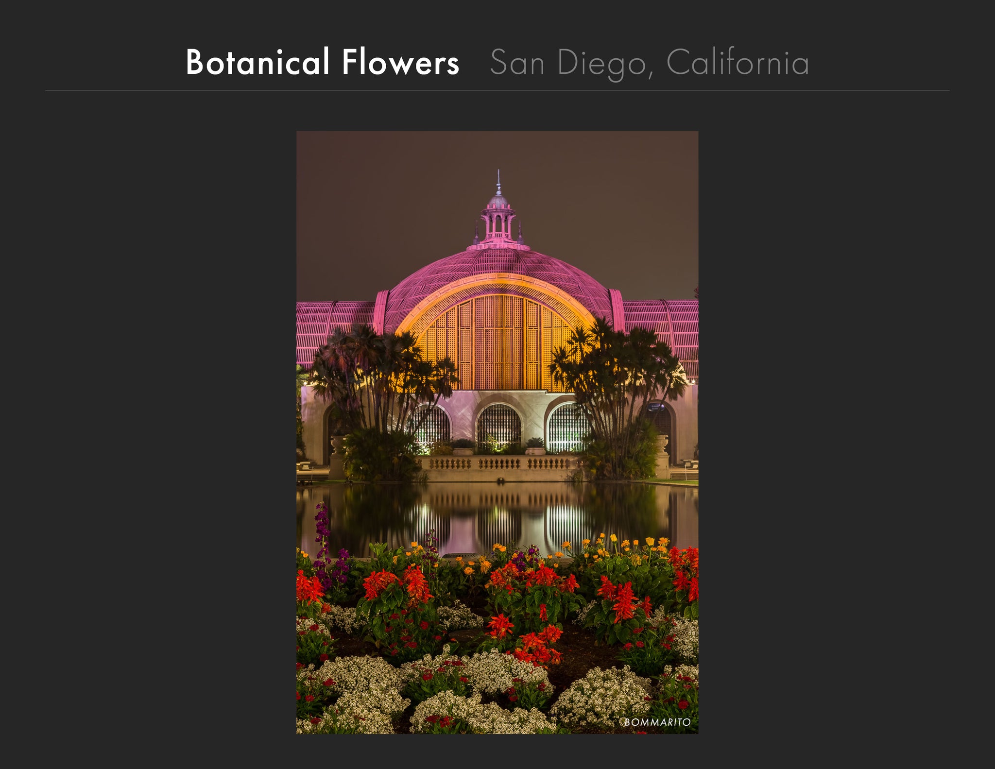 Balboa Park Botanical Gardens Art, Bommarito Art Prints, San Diego Art Prints