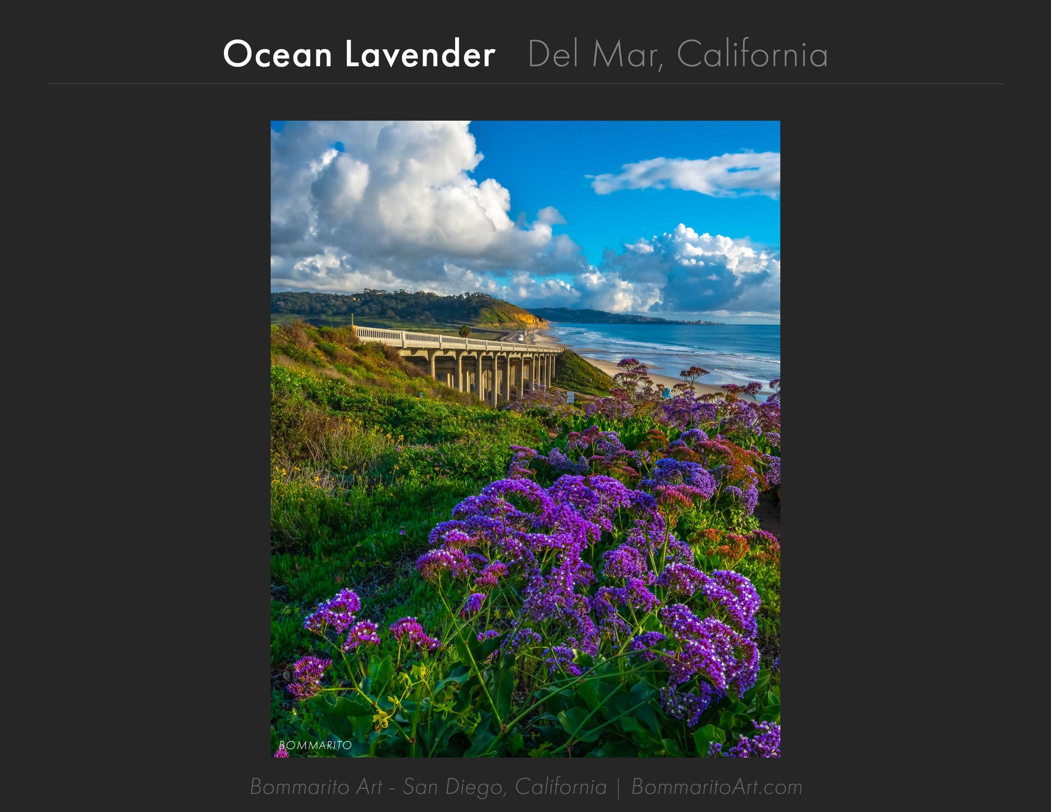 Torrey Pines Bridge Del Mar California, Daniel Bommarito