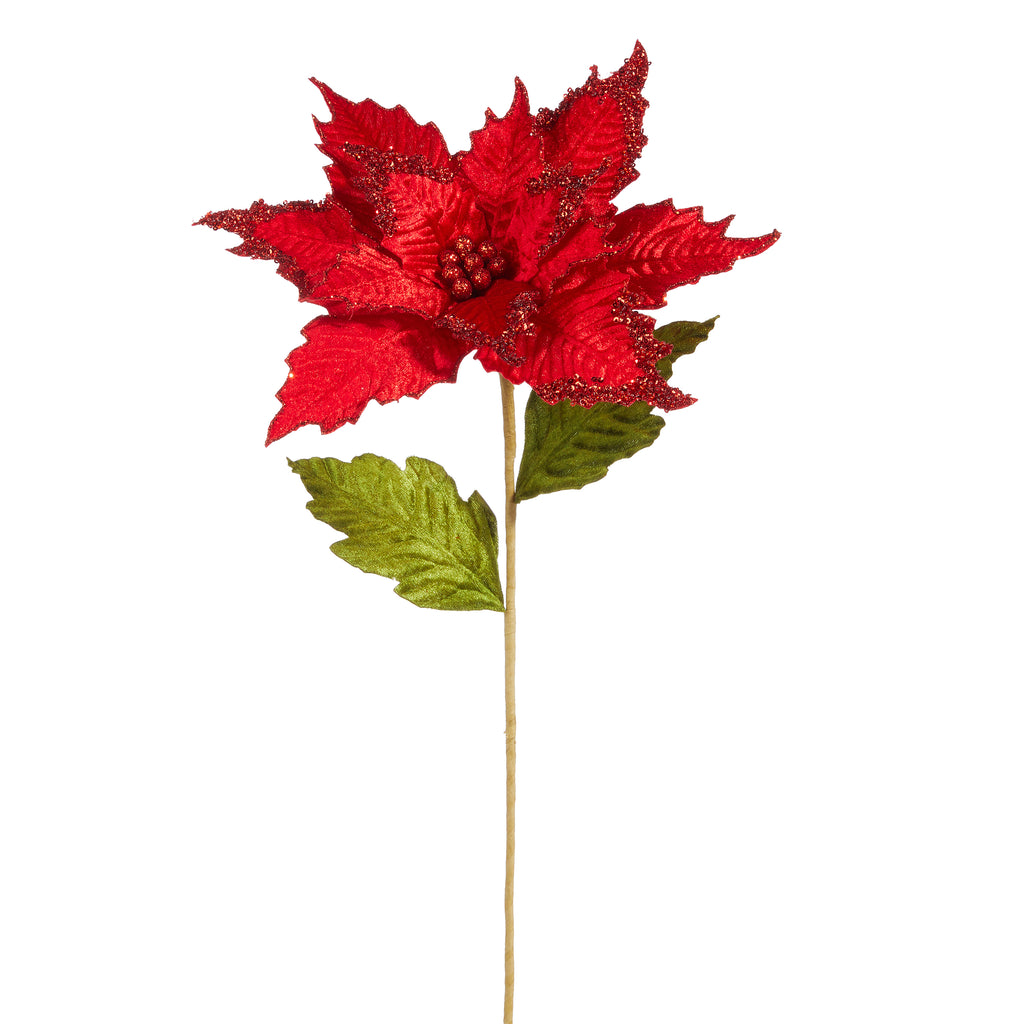 How to Create a Perfect Poinsettia Texture, How to Create a Perfect  Poinsettia Texture and Knockdown Leah demonstrates how to create a  poinsettia ceiling texture and knockdown wall texture, using a