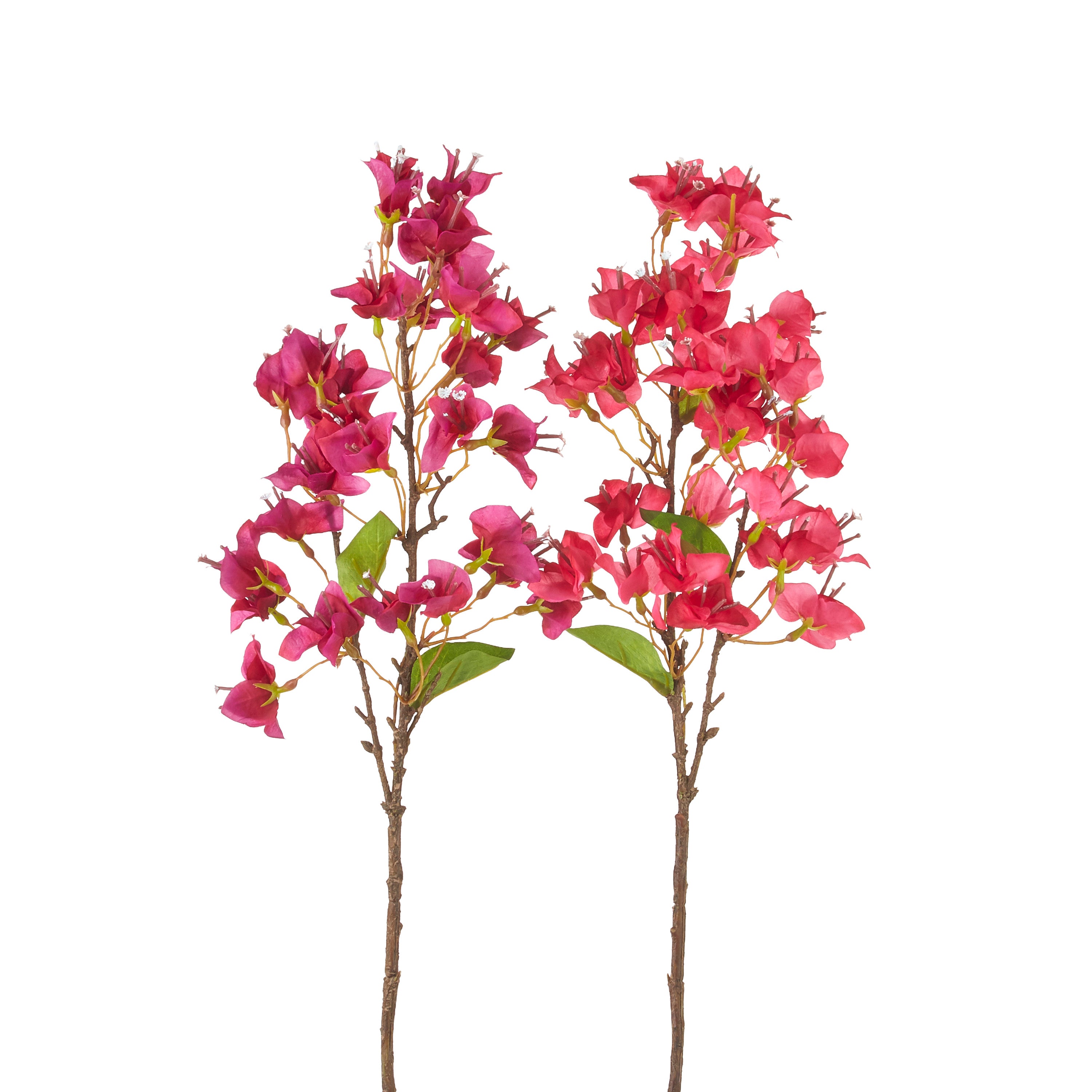 Magenta Bougainvillea Spray – Miss Cayce's Wonderland