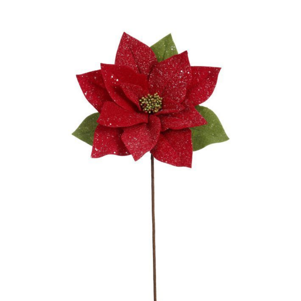 How to Create a Perfect Poinsettia Texture, How to Create a Perfect  Poinsettia Texture and Knockdown Leah demonstrates how to create a  poinsettia ceiling texture and knockdown wall texture, using a