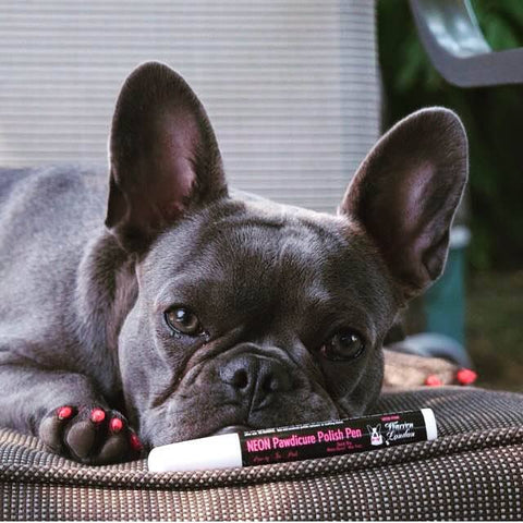 Snapklik.com : DEAPLLEONC Dog Nail Polish - Dog Nail Polish Pens Quick Dry,  Non-Toxic Pink, Red, Purple, Blue Dog Nail Polish Pen