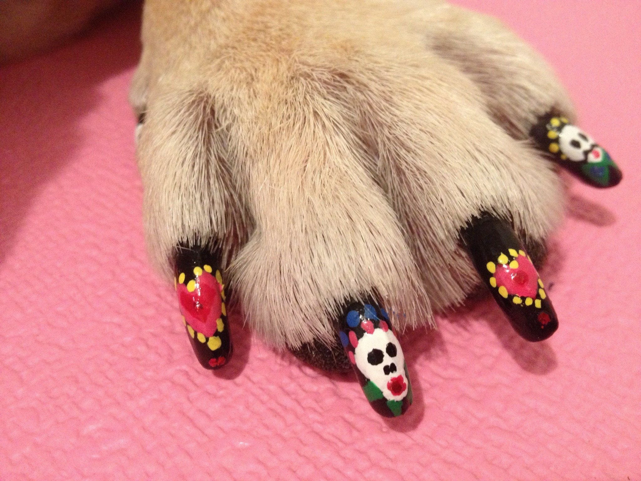 how do you paint a dogs nails