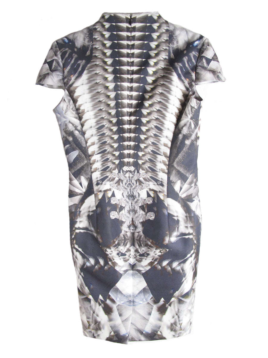 alexander mcqueen skeleton dress