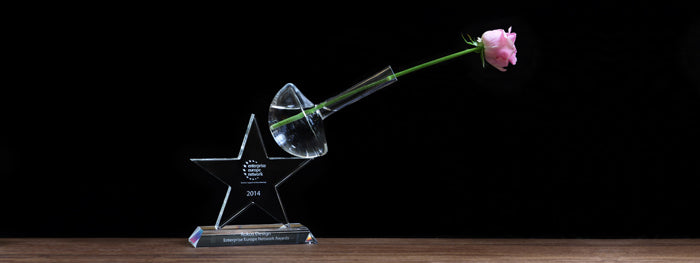 Rokos Wins the Enterprise Europe Network Award