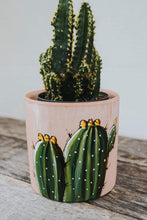 Charger l&#39;image dans la galerie, Petit cache-pot en terre cuite rose design cactus