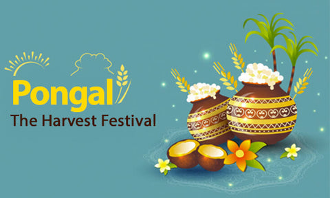 pongal-festival-celebration-in-UK