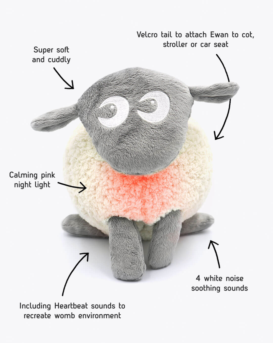 buy ewan the dream sheep