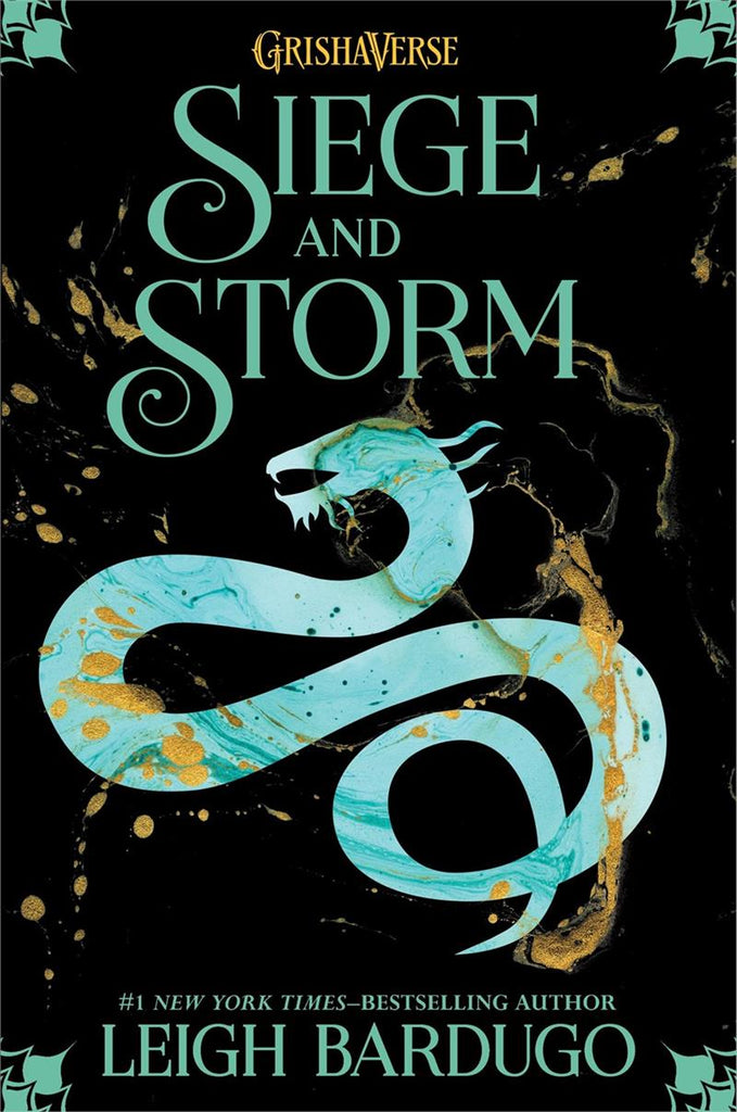 siege and storm book