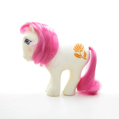 Mail order and special offer Birthflower Ponies