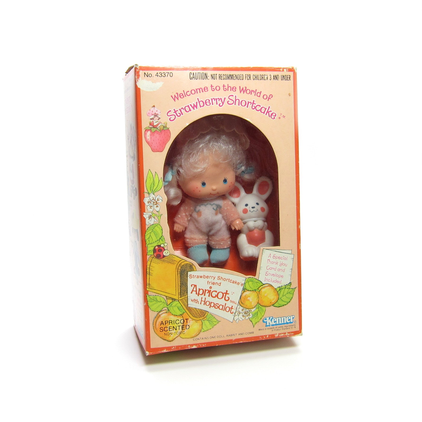vintage strawberry shortcake dolls in box