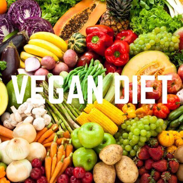 The Vegan Diet In A Nutshell – Wrawp Foods