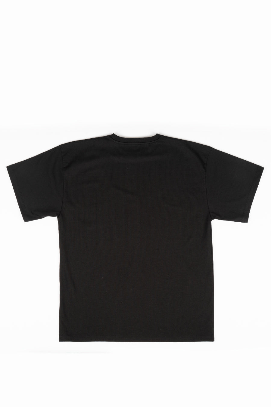 STUSSY TEST STRIKE PIG. DYED TEE BLACK – BLENDS