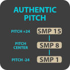 Authentic pitch logo