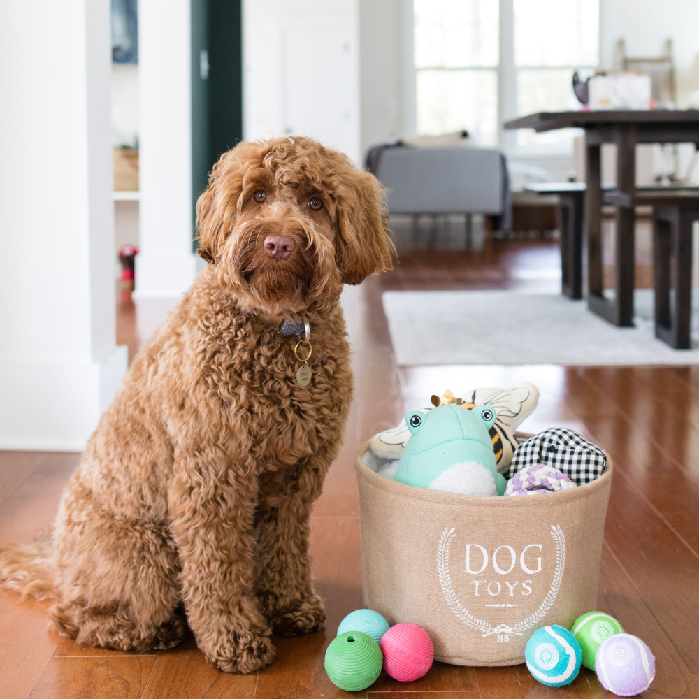 best dog toy bin